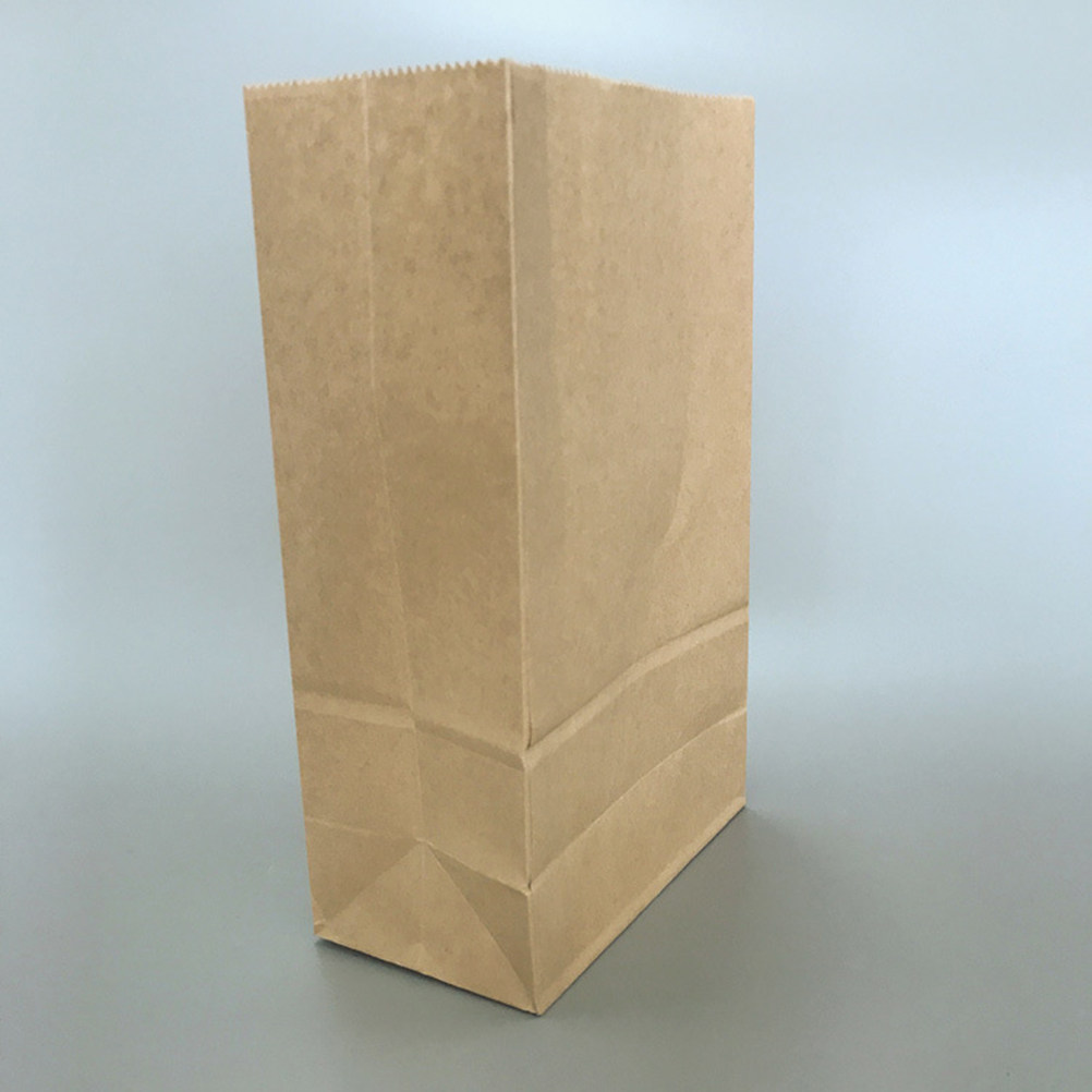 100pcs Kraft Paper Bag Small S - Food Storage Usa ulasan dan harga