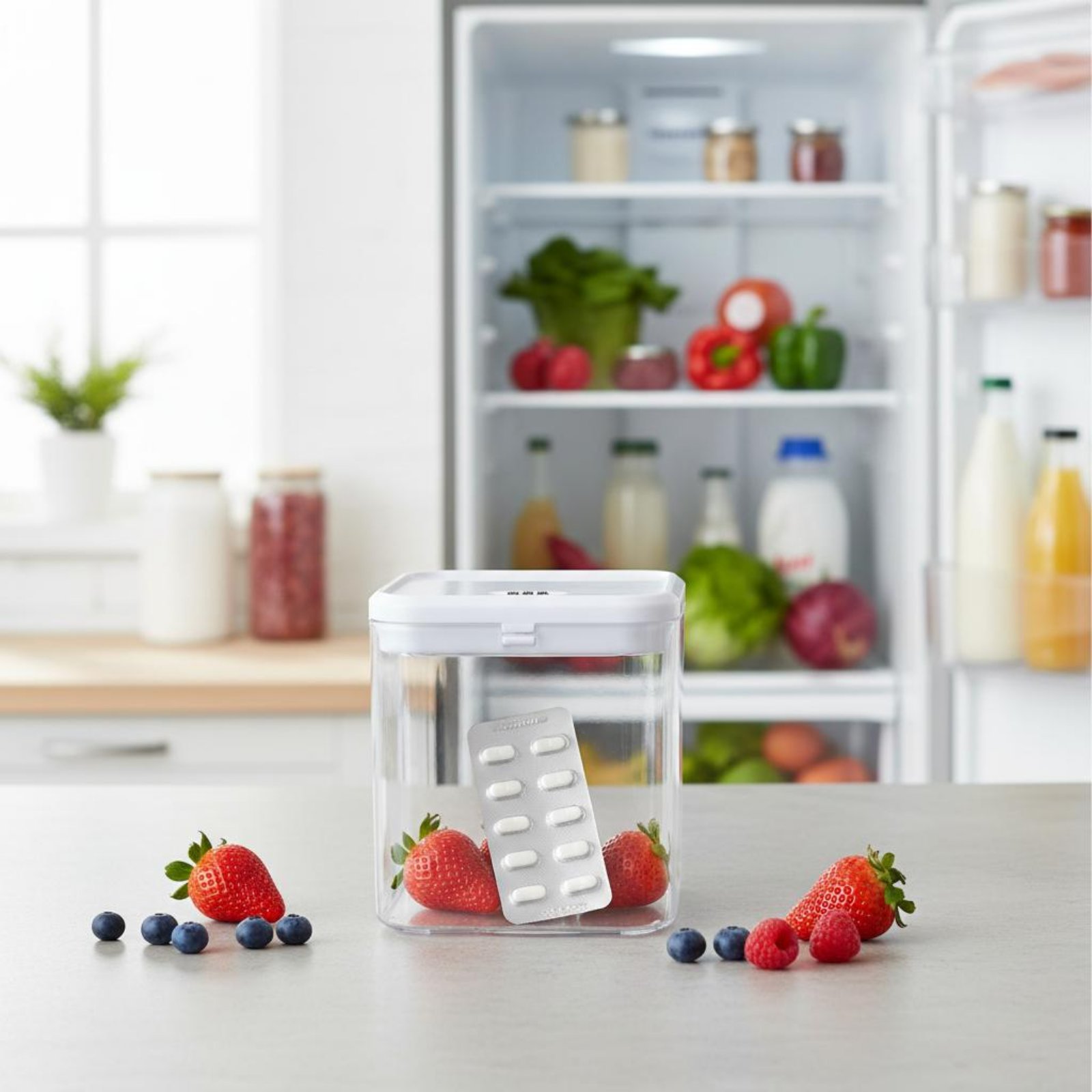 Clear Lockable Box Versatile L - Food Storage Usa ulasan dan harga