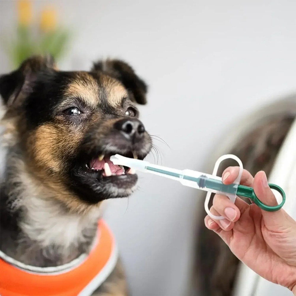 Dog Cat AccessoriesPet Syringe - Food Storage Youtube ulasan dan harga